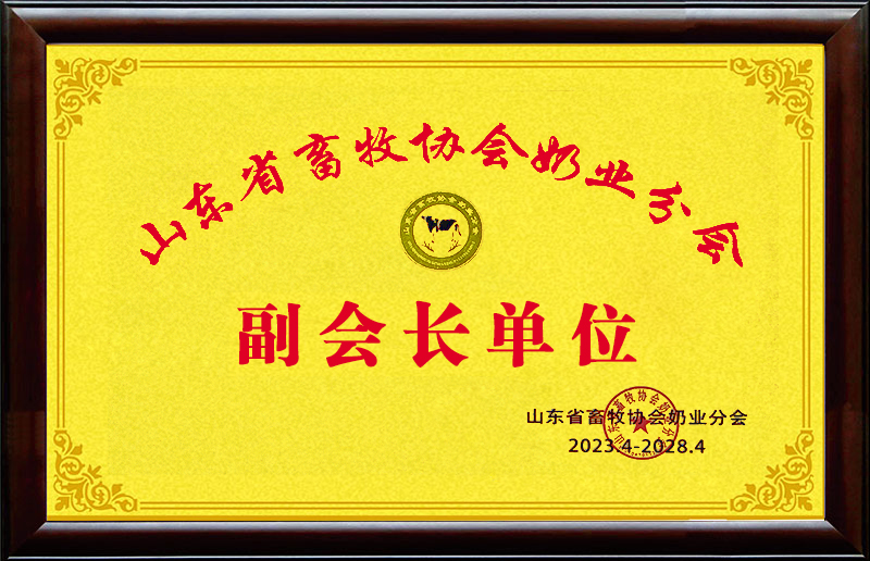 副会长单位